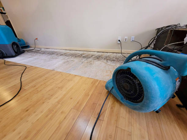 Professional Water Damage Repair technician working in Williamsburg, IN